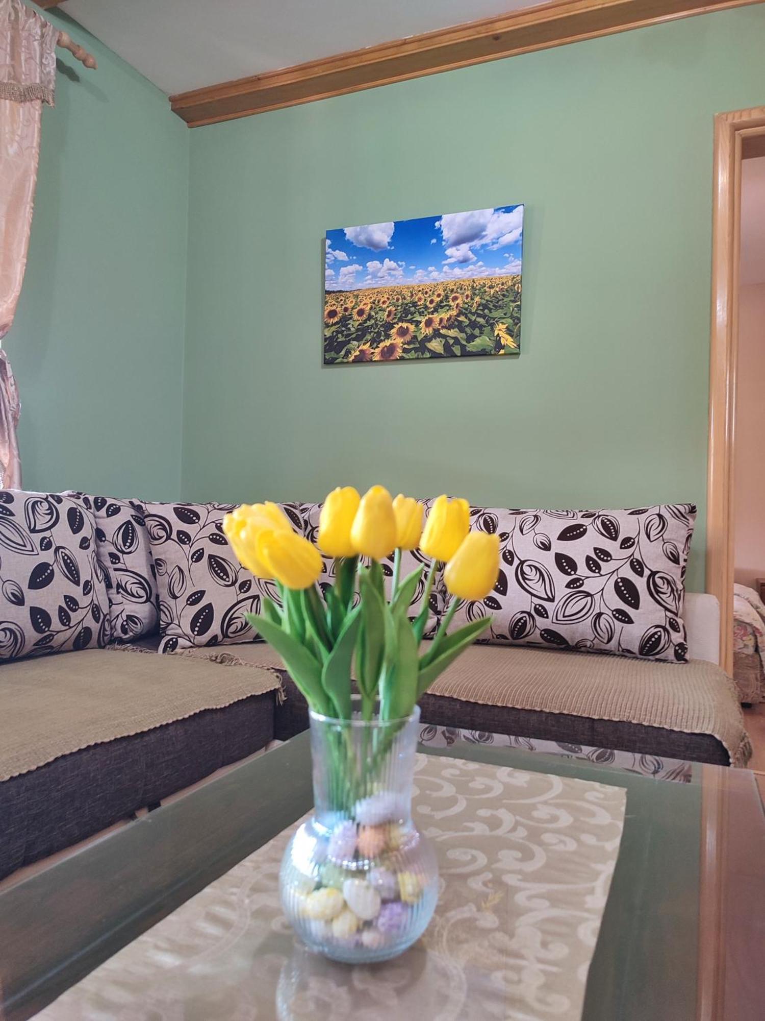 Eko Apartmani Backi Petrovac Pokoj fotografie